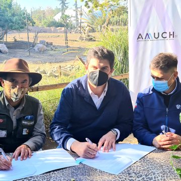 BUIN ZOO ENTREGARÁ DESCUENTOS A MUNICIPIOS AMUCH
