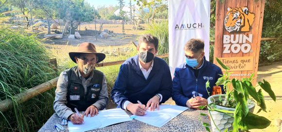 BUIN ZOO ENTREGARÁ DESCUENTOS A MUNICIPIOS AMUCH