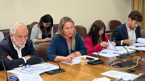 AMUCH alerta en Comisión de Cámara Baja que presupuesto de Plan de Emergencia habitacional no prioriza déficit de viviendas