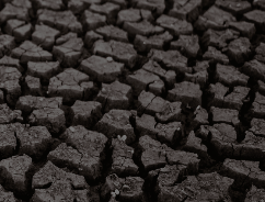 Captura de pantalla 2025-06-30 a la(s) 22.19.29 Estudio AMUCH 2020 – Escasez Hídrica en las comunas de Chile.