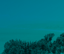 Captura de pantalla 2025-07-03 a la(s) 16.19.57 Estudio AMUCH 2025 – Gestión turística municipal en Chile: Capacidades, desafíos y oportunidades para el desarrollo local