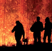 Captura de pantalla 2025-07-04 a la(s) 09.46.59 Estudio AMUCH 2023 Estudio nacional de caracterización de los incendios forestales en las comunas de Chile 1990 – 2022