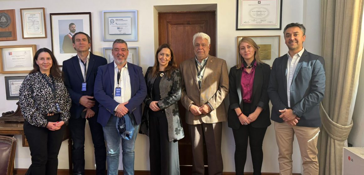 2adb1a32-70ce-4ef0-9cce-042555e2ce28 Panel experto convocado por SII