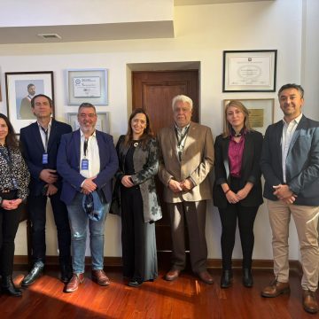 Panel experto convocado por SII