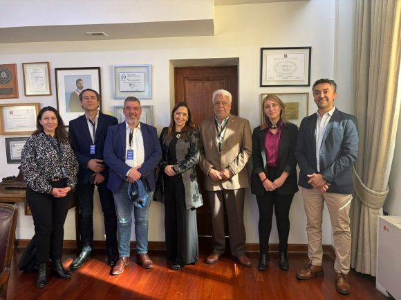 Panel experto convocado por SII