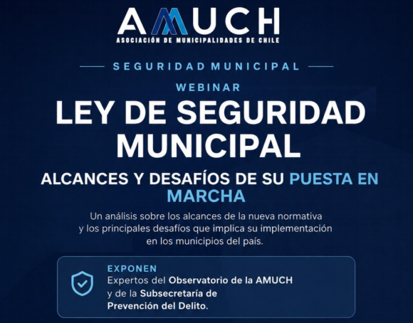 image (4) Webinar Ley de Seguridad Municipal: Alcances y desafíos de su puesta en marcha